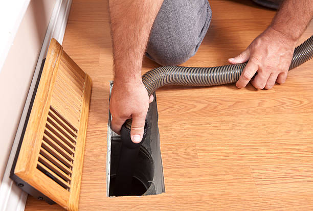 Best Air Duct Mold Removal  in Iron River, MI